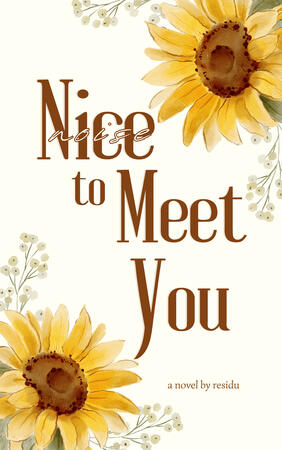 Nice (Noice) to Meet You